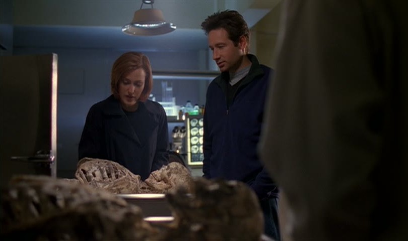Scene from Field Trip