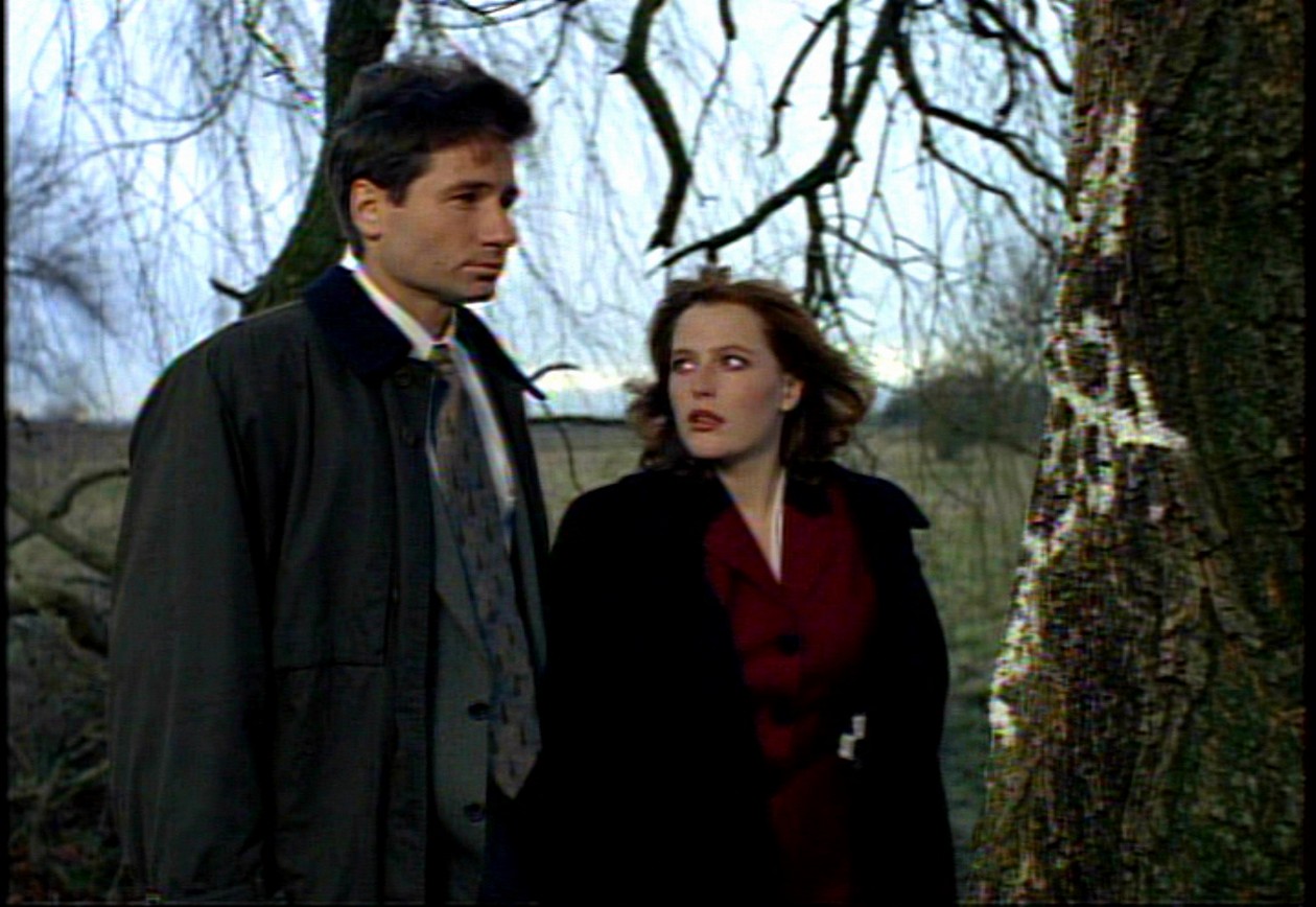 Scene from Fresh Bones