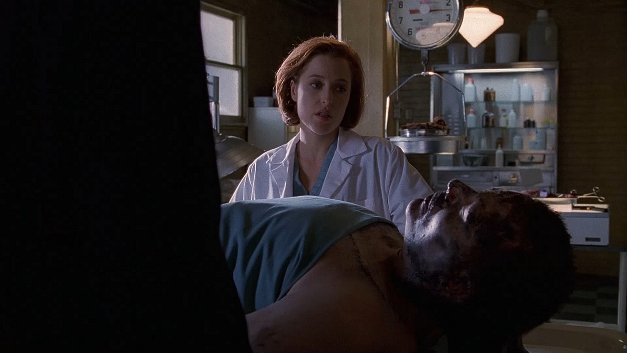 Scene from Schizogeny