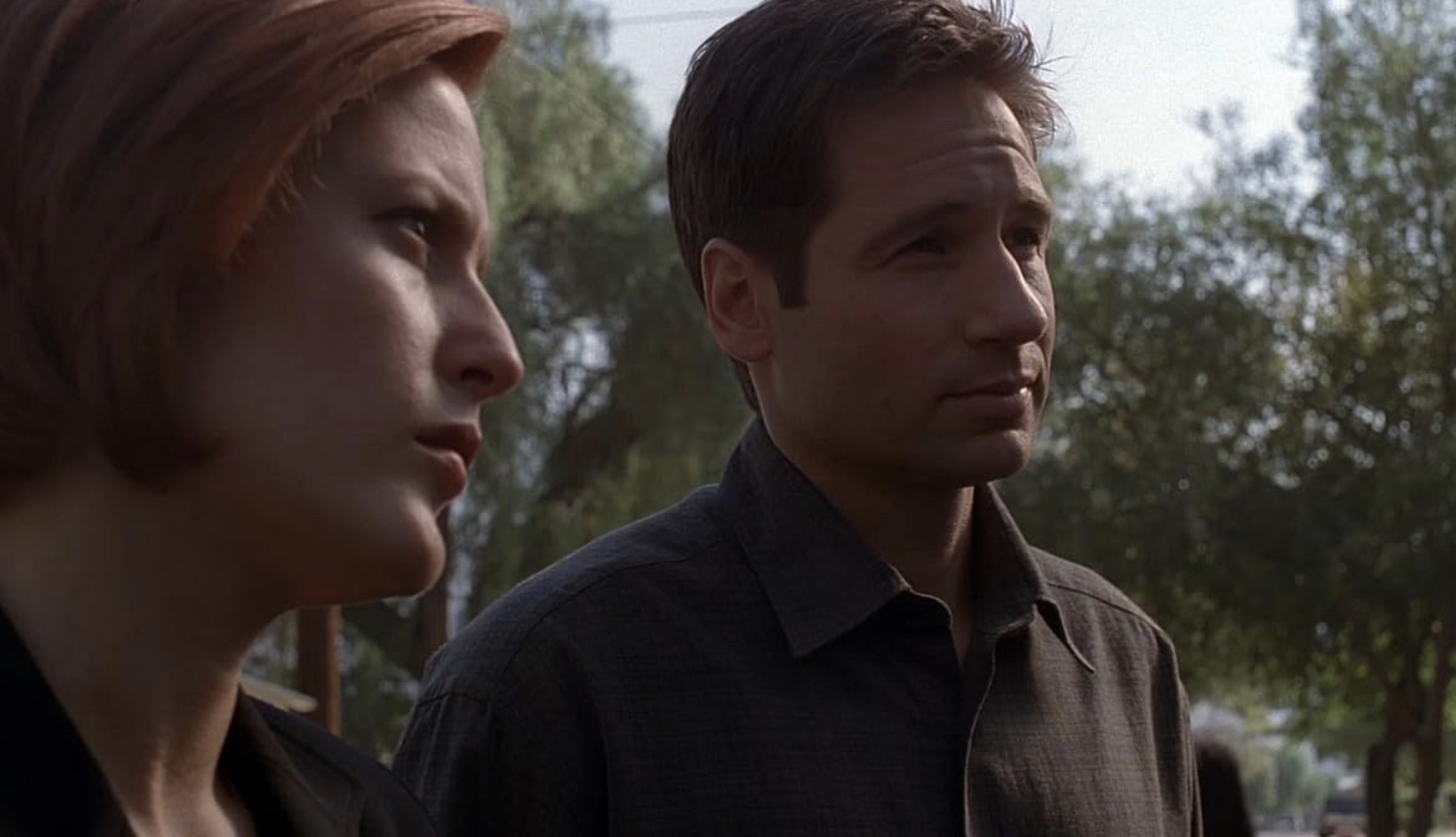 Scene from Signs and Wonders